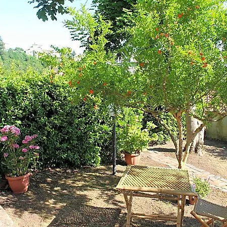 Le Coste Veroli