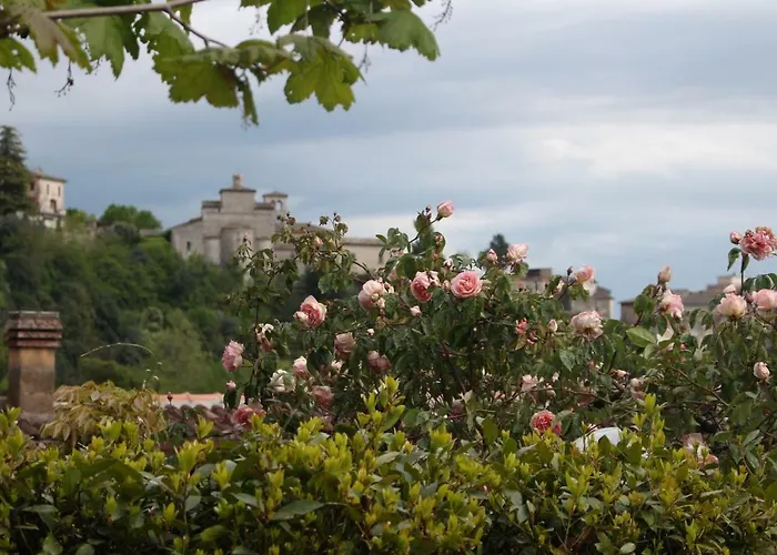 Bed and Breakfast Le Coste Veroli
